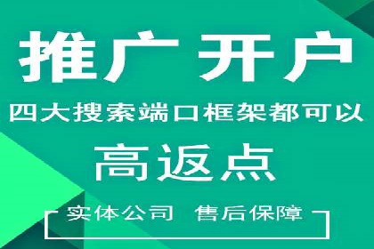 SEM广告投放中的数据监控与调整策略——以某品牌营销案例为例
